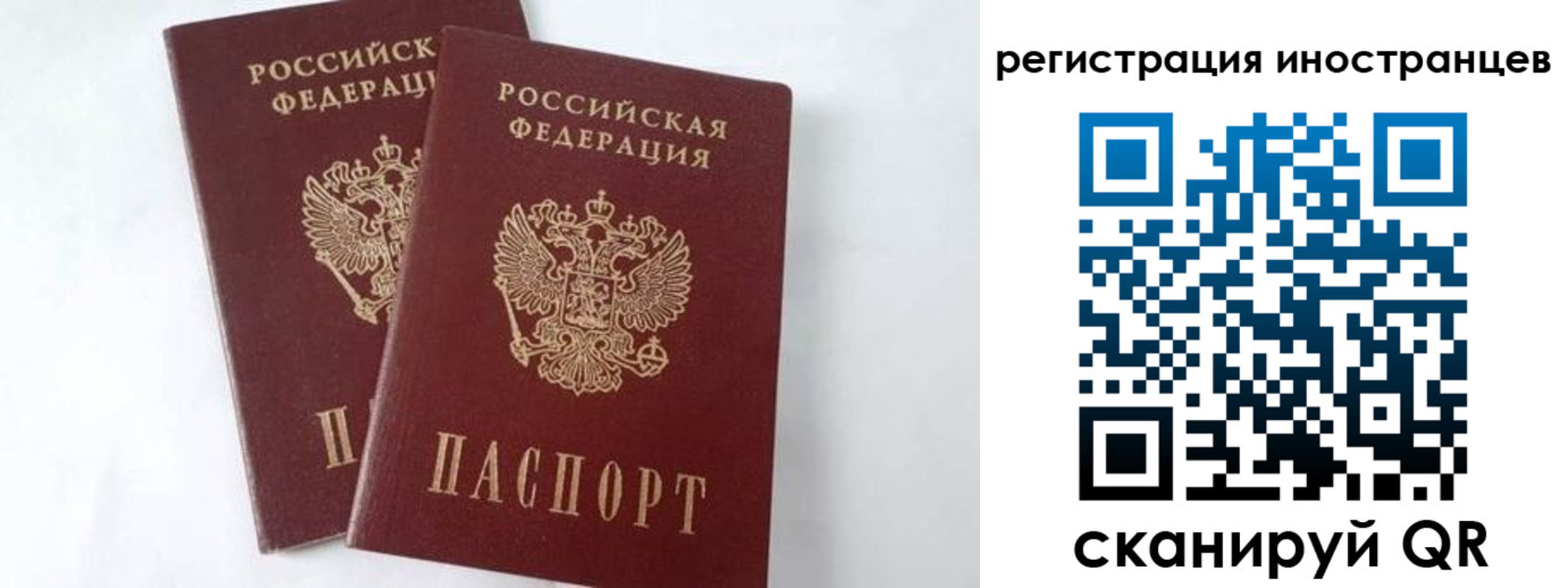 регистрация для школы в Лыткарино